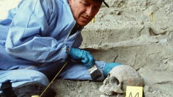 Photo from the movie Da Vinci's Inquest