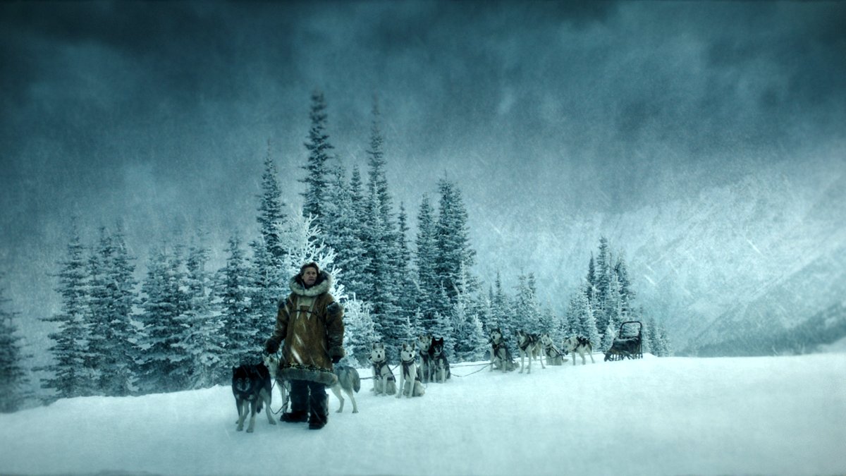 Photo from the movie Togo