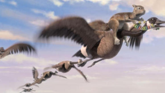 Photo from the movie The Wild