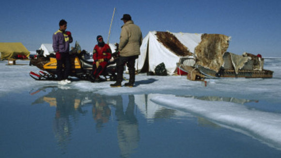 Photo from the movie Arctic Tale