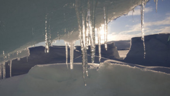 Photo from the movie Arctic Tale