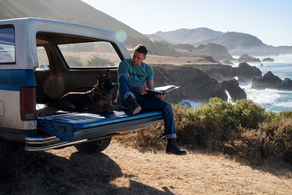 Photo from the movie Dog