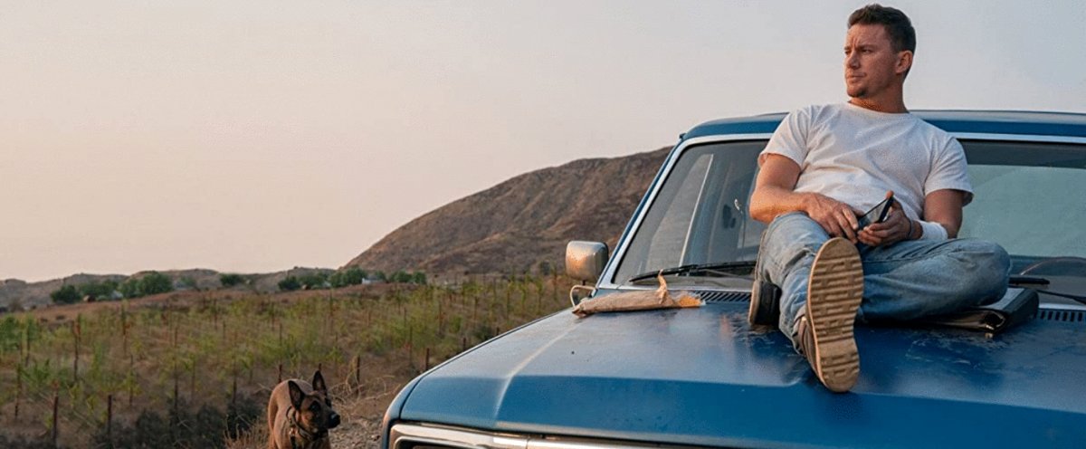 Photo from the movie Dog