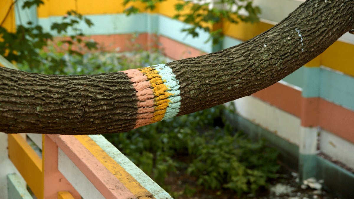 Photo from the movie So Late So Soon