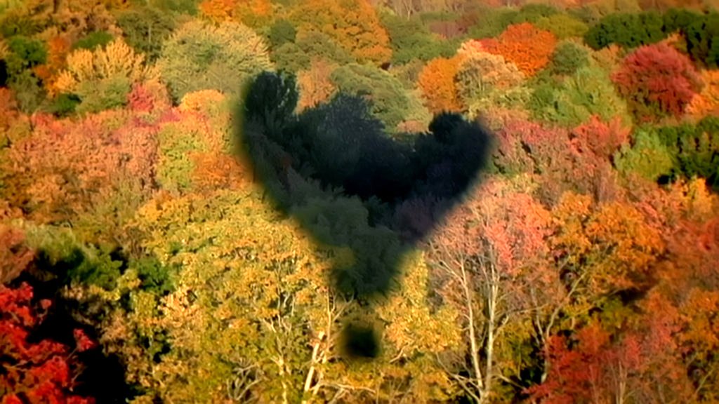 Photo from the movie Wind Riders