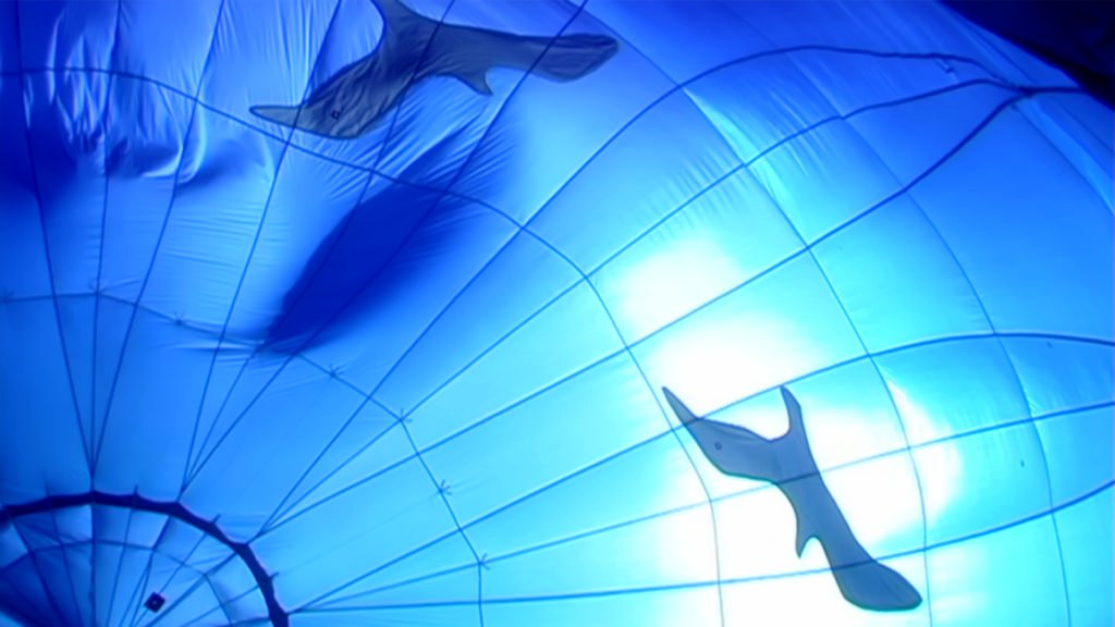 Photo from the movie Wind Riders