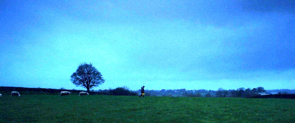 Photo from the movie Bad Day for the Cut