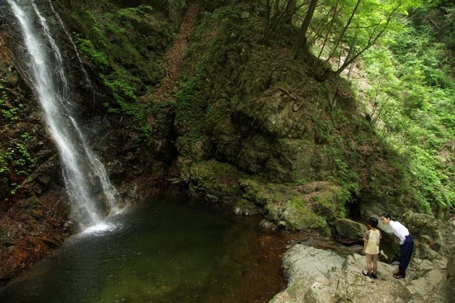 Photo from the movie Journey To the Shore