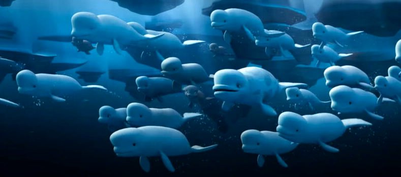 Photo from the movie Katak, the Brave Beluga