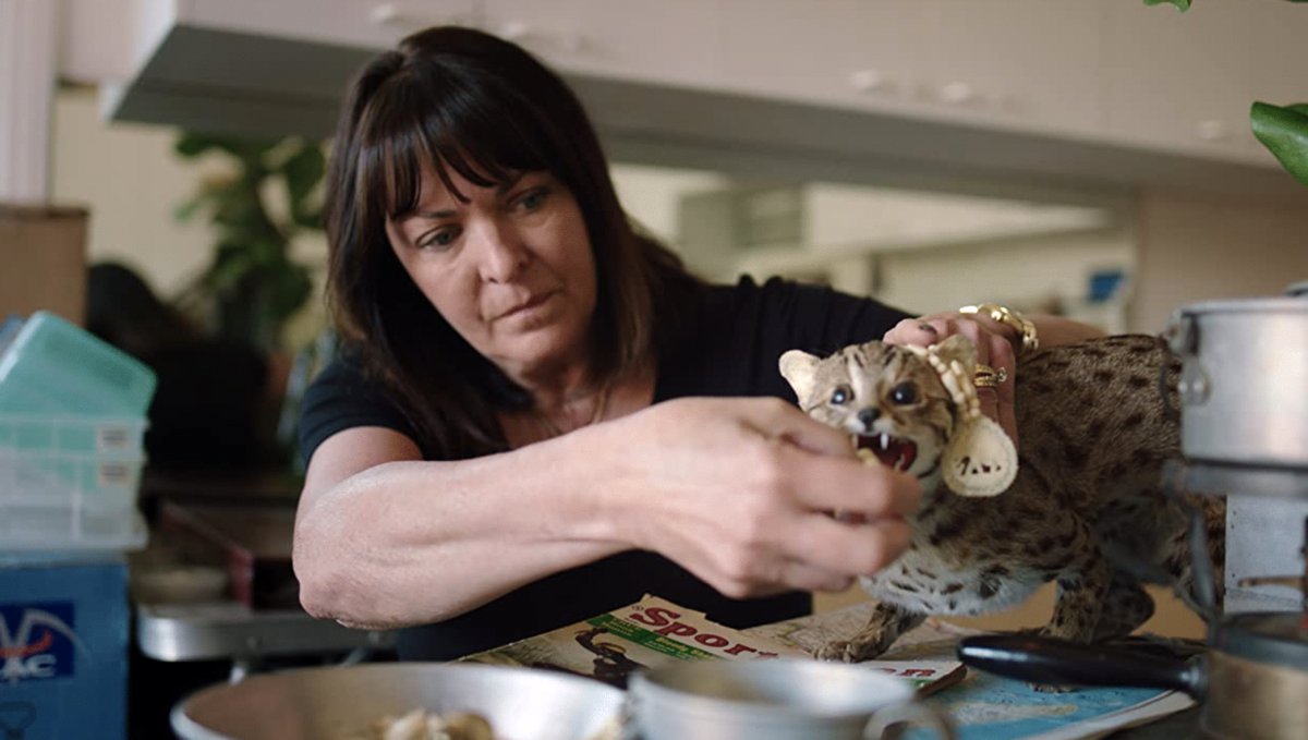 Photo from the movie Set!