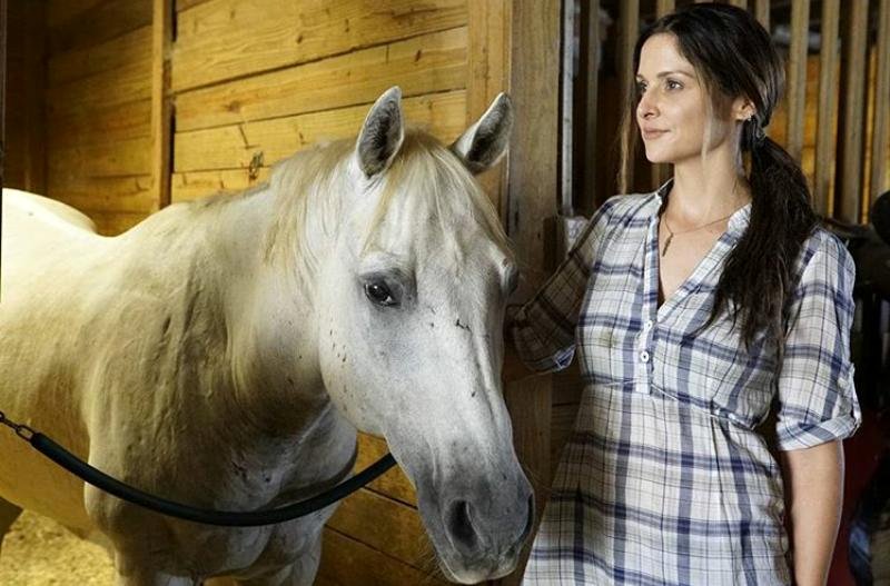 Photo from the movie Changing Saddles