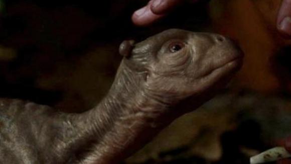 Photo from the movie The Water Horse: Legend of the Deep