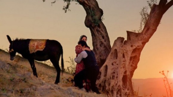 Photo du film Almanya: Willkommen in Deutschland [2011]