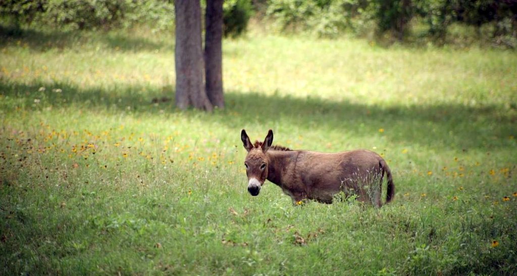 Photo from the movie Amanda & Jack Go Glamping