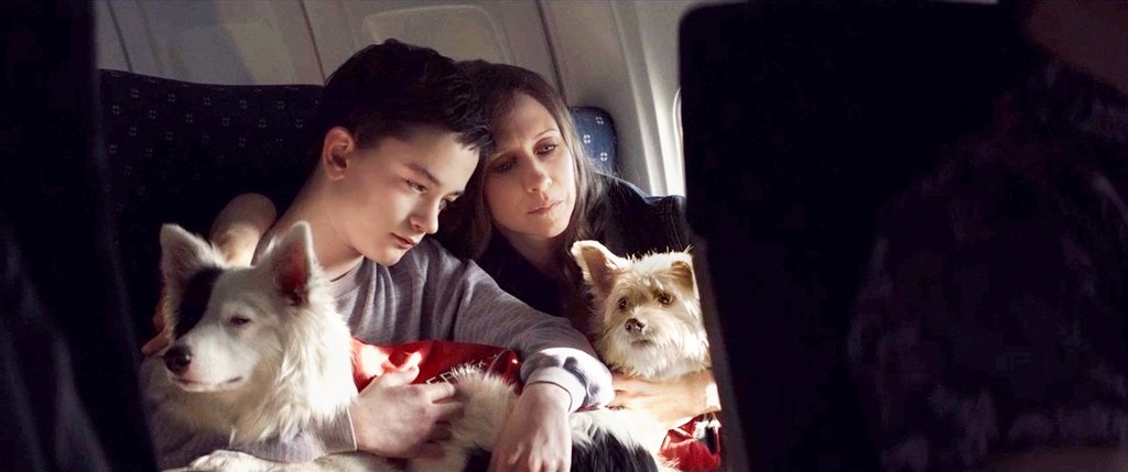 Photo from the movie Boundaries