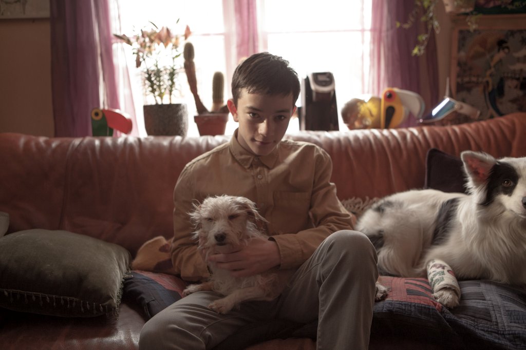 Photo from the movie Boundaries