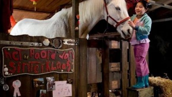 Photo from the movie Where Is Winky's Horse?