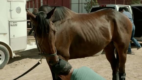 Photo from the movie 50 to 1