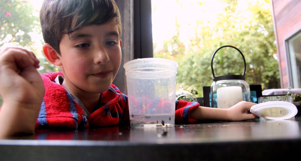 Photo du film Before the Sun Explodes [2016]