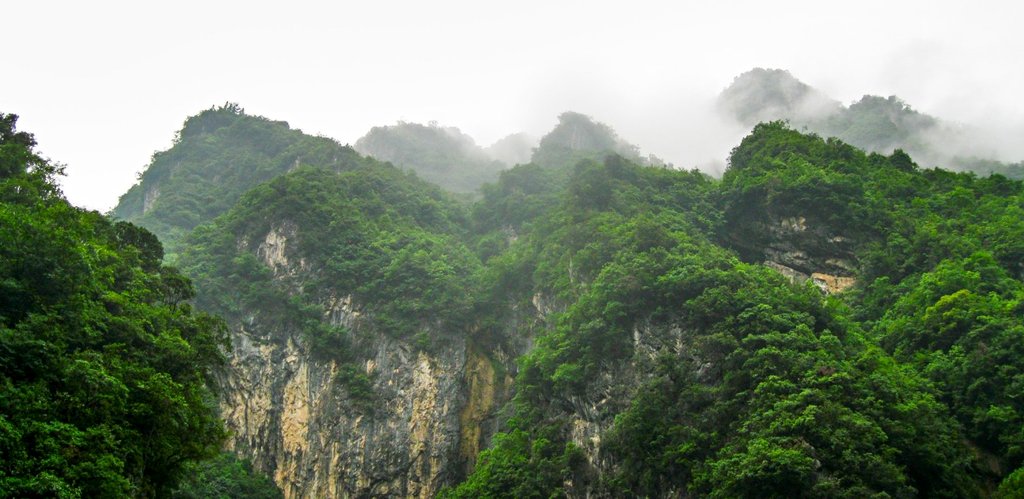 Photo from the movie Born in China