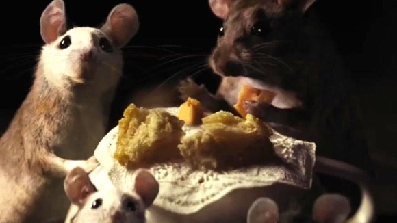 Photo du film Cendrillon [2015]