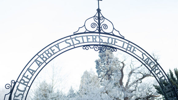 Photo from the movie Philomena