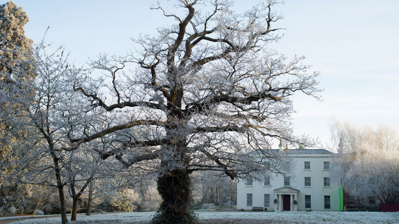 Photo from the movie Philomena