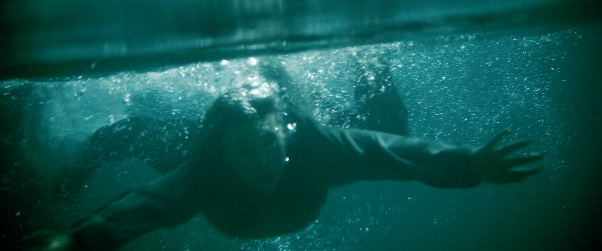 Photo from the movie Terreur sauvage