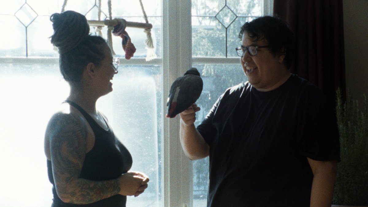 Photo from the movie Paul