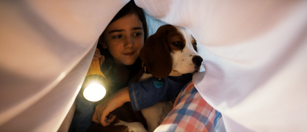 Photo from the movie A Dog's Journey