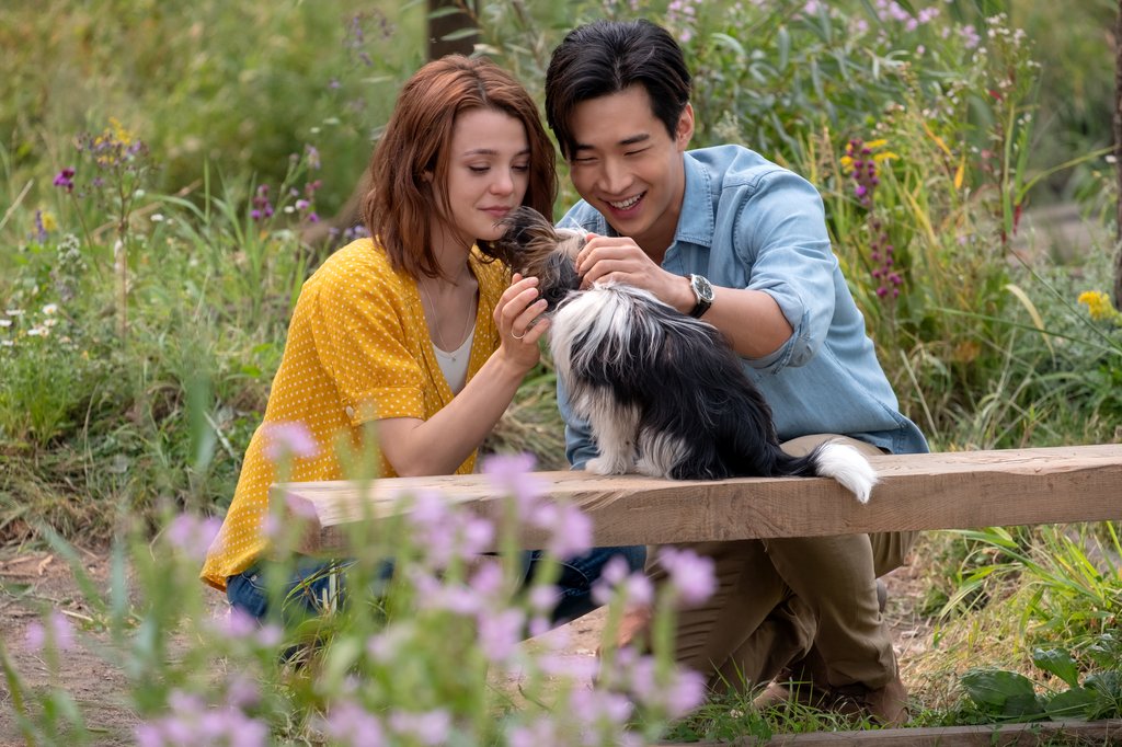 Photo from the movie A Dog's Journey