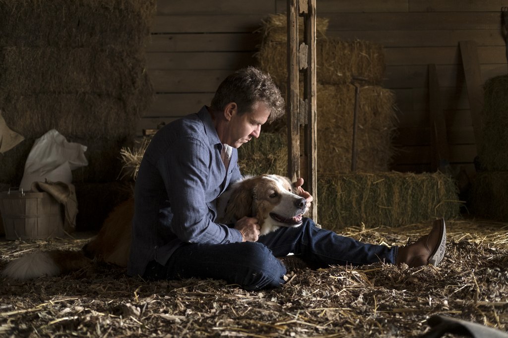 Photo from the movie A Dog's Journey