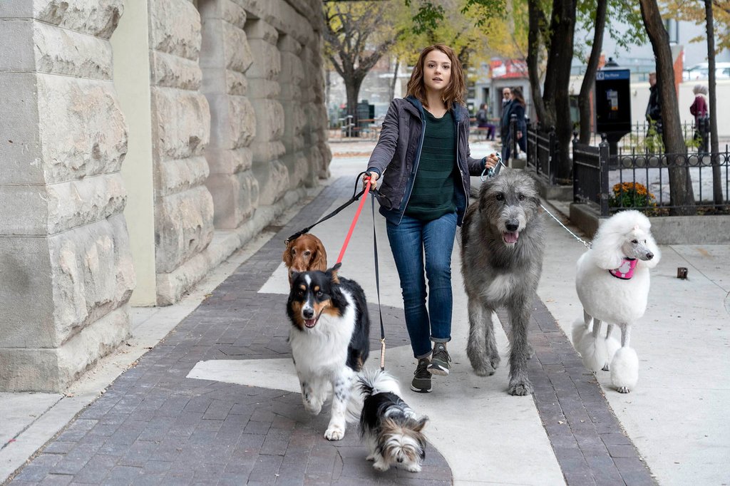 Photo from the movie A Dog's Journey