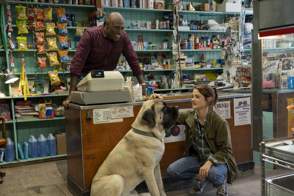 Photo from the movie A Dog's Journey