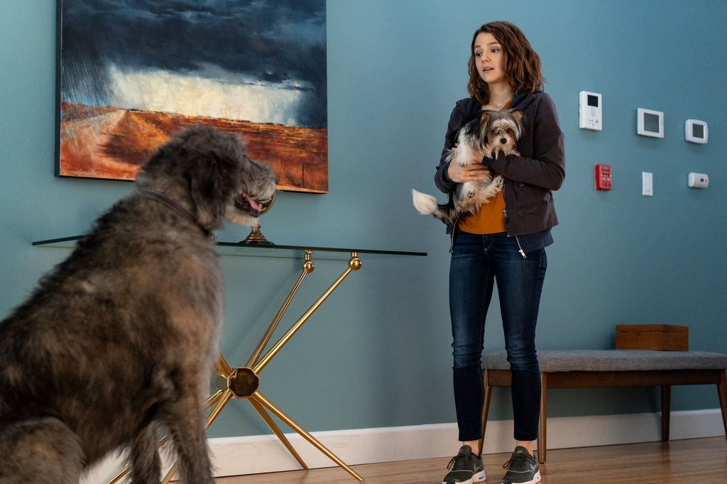 Photo from the movie A Dog's Journey