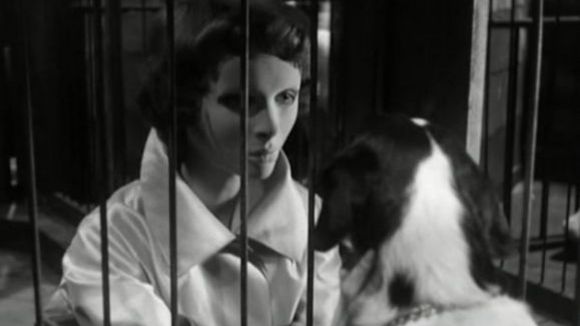 Photo from the movie Eyes Without a Face