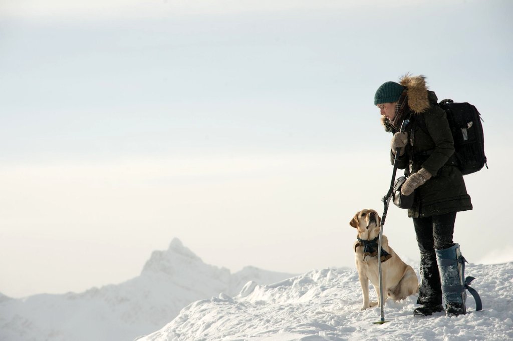 Photo from the movie The Mountain Between Us