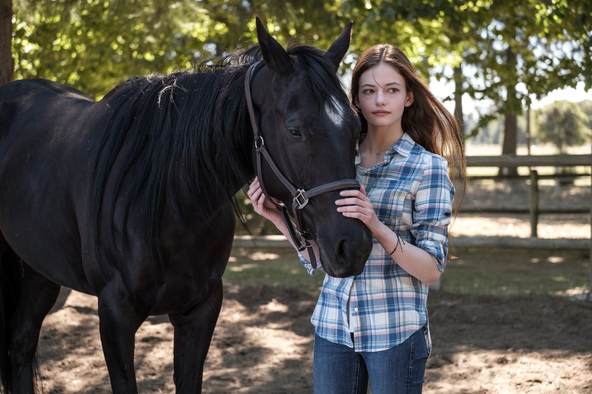 Photo from the movie Black Beauty