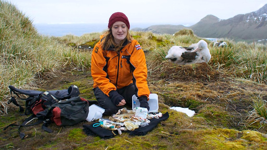 Photo from the movie Blue Planet II