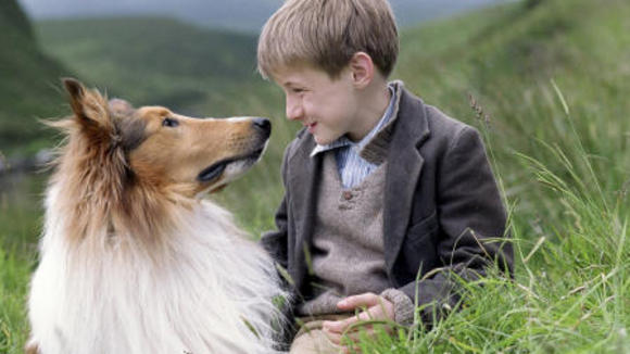 Photo from the movie Lassie