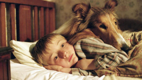 Photo from the movie Lassie