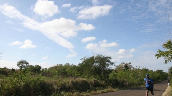 Photo from the movie Ballplayer: Pelotero