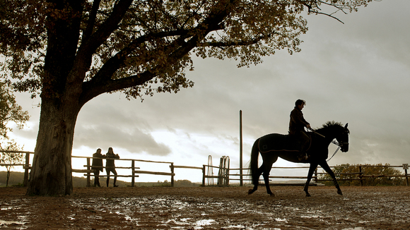 Photo from the movie Jappeloup: L'étoffe d'un champion