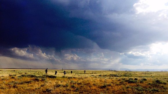 Photo from the movie Lamb