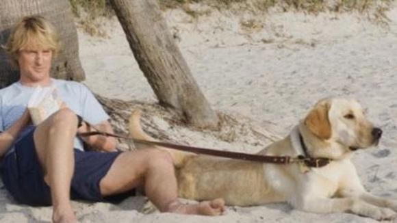 Photo from the movie Marley & Me