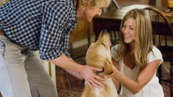 Photo from the movie Marley & Me