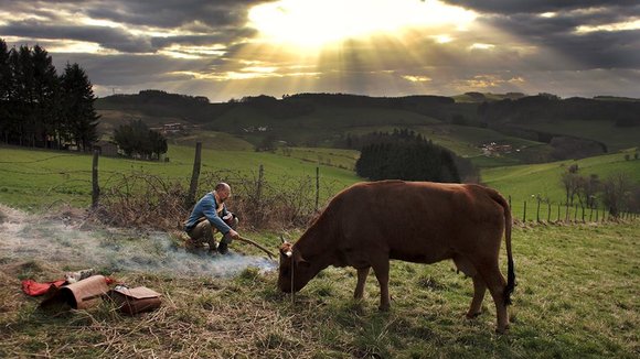 Photo from the movie One Man and His Cow