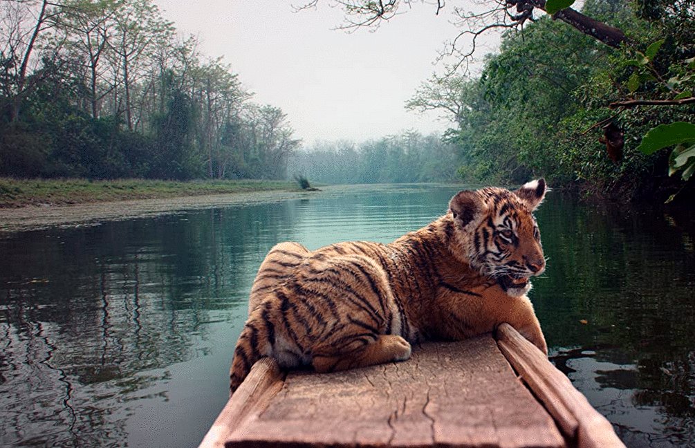 Photo from the movie Ta'igara: An Adventure in the Himalayas