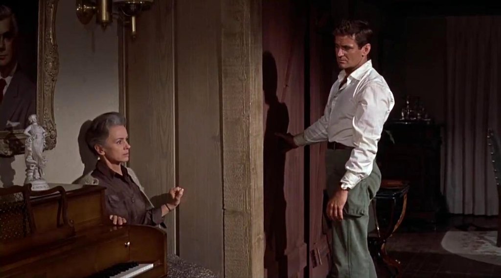 Photo from the movie The Birds