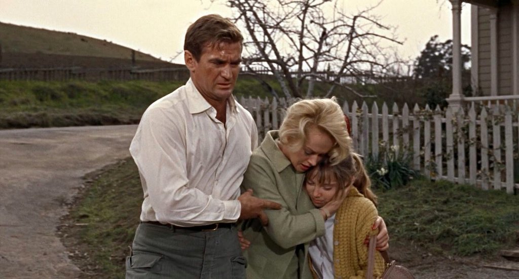 Photo from the movie The Birds